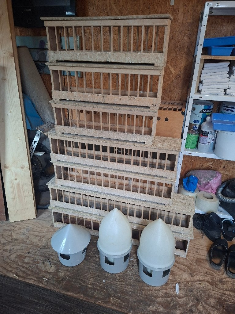 7x voerbak, Meerdere dieren, Postduif