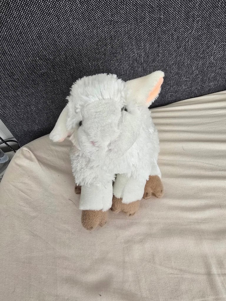 Schattig wit lammetje knuffel - Zo goed als nieuw, Overige typen, Ophalen of Verzenden, Zo goed als nieuw, Middelgroot (20 tot 80 cm)
