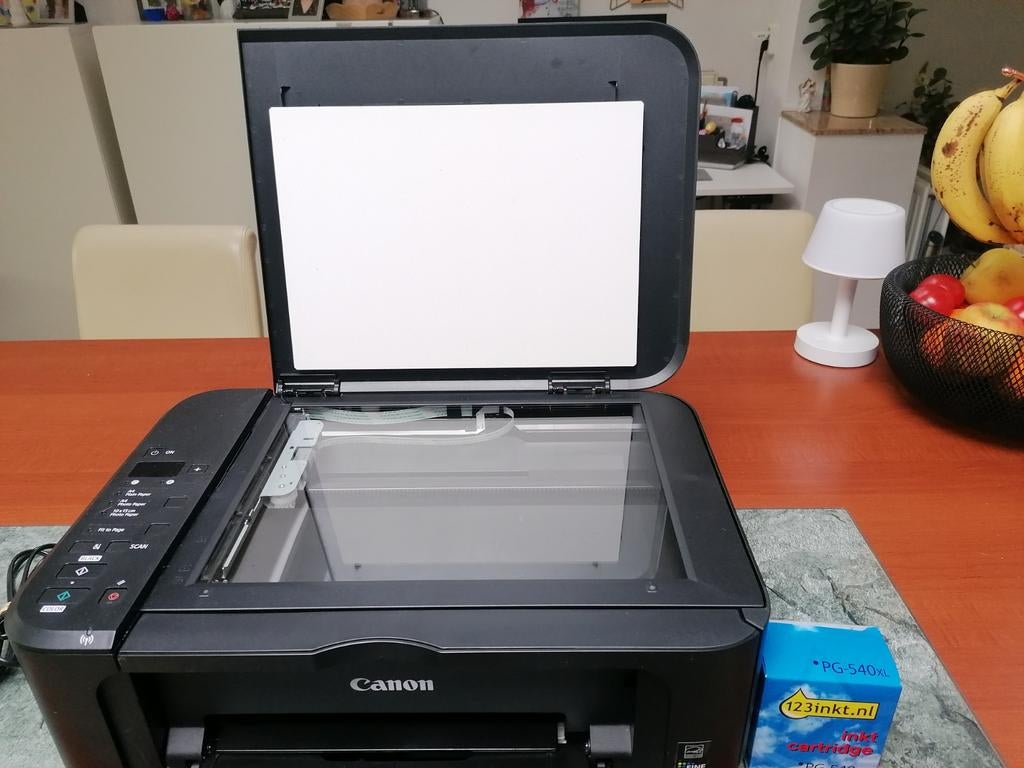 Canon MG 3250 printer - lichte hapering papierdoorvoer, Computers en Software, Printers, Gebruikt, All-in-one, Inkjetprinter, Kleur printen
