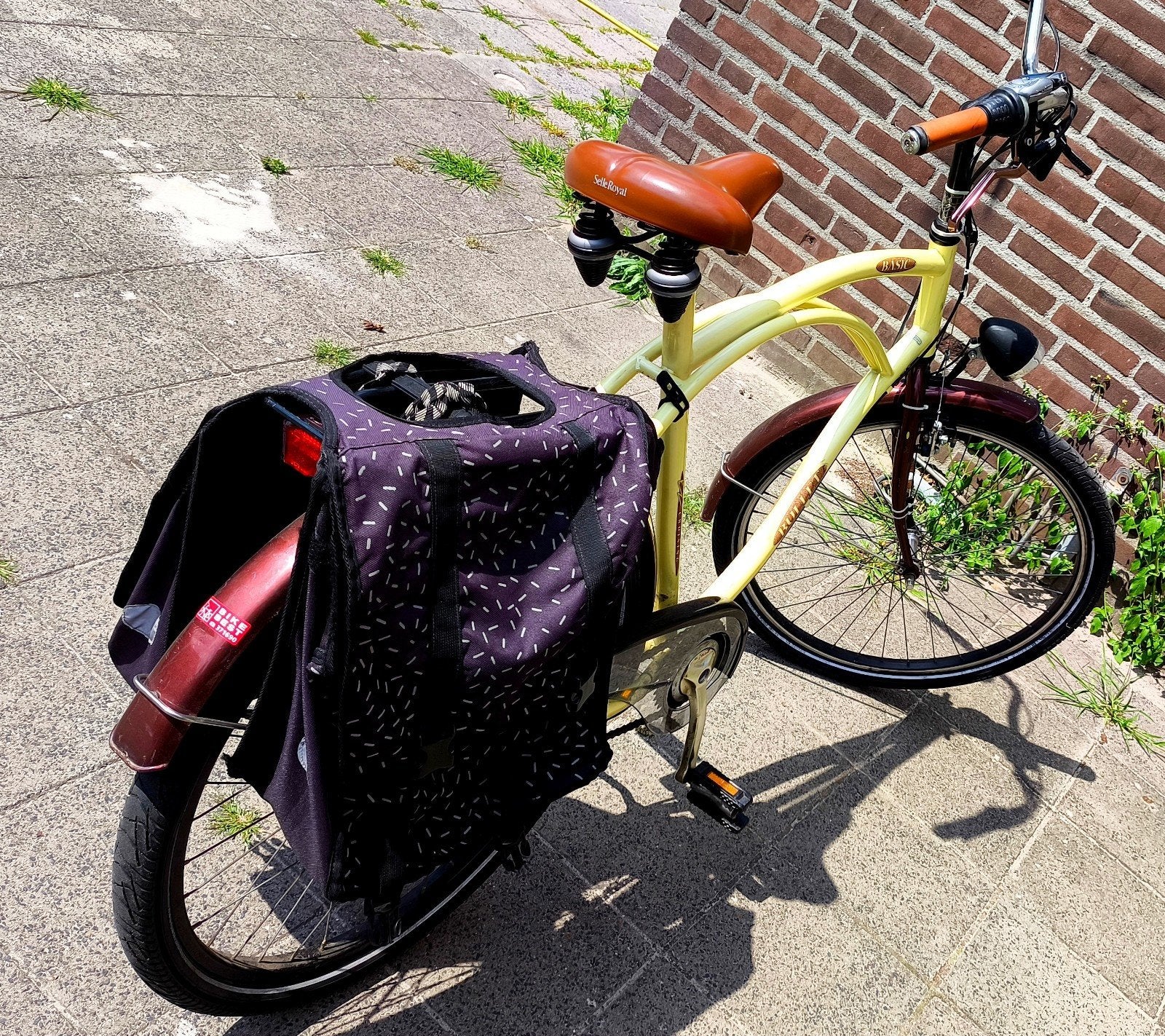Stadsfiets met lage instap en versnellingen, Fietsen en Brommers, Gebruikt, Velgrem, Versnellingen, Ophalen