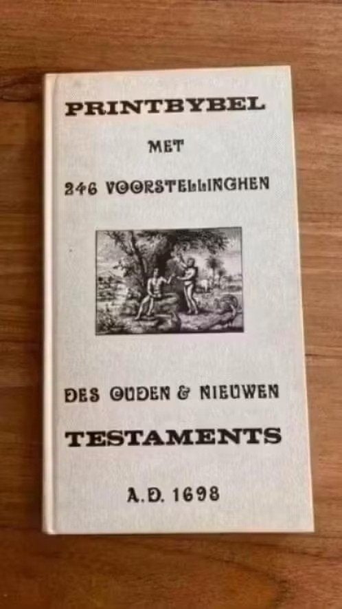 Printbijbel: 246 voorstellingen ( oude en nieuwe testament), Ophalen of Verzenden, Gelezen