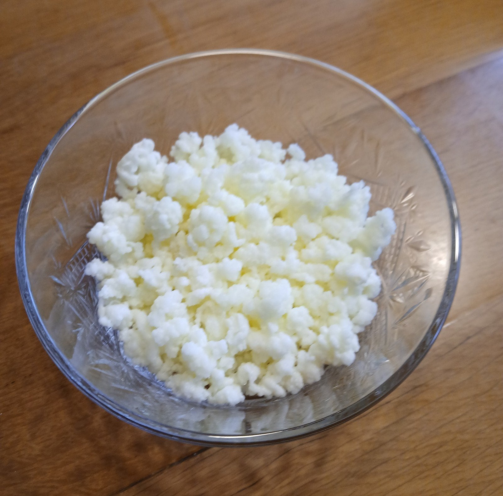 Melkkefir, yoghurtplantje, Ophalen