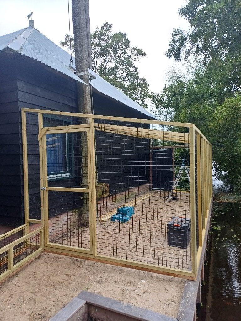 Kattenren Beijersche | Maatwerk | Duurzame materialen, Ophalen of Verzenden, Nieuw