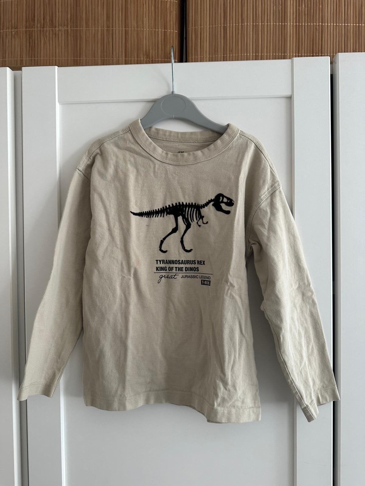 H&M Longsleeve T-Rex Dino Maat 110/116, H&M, Ophalen of Verzenden, Zo goed als nieuw, Shirt of Longsleeve