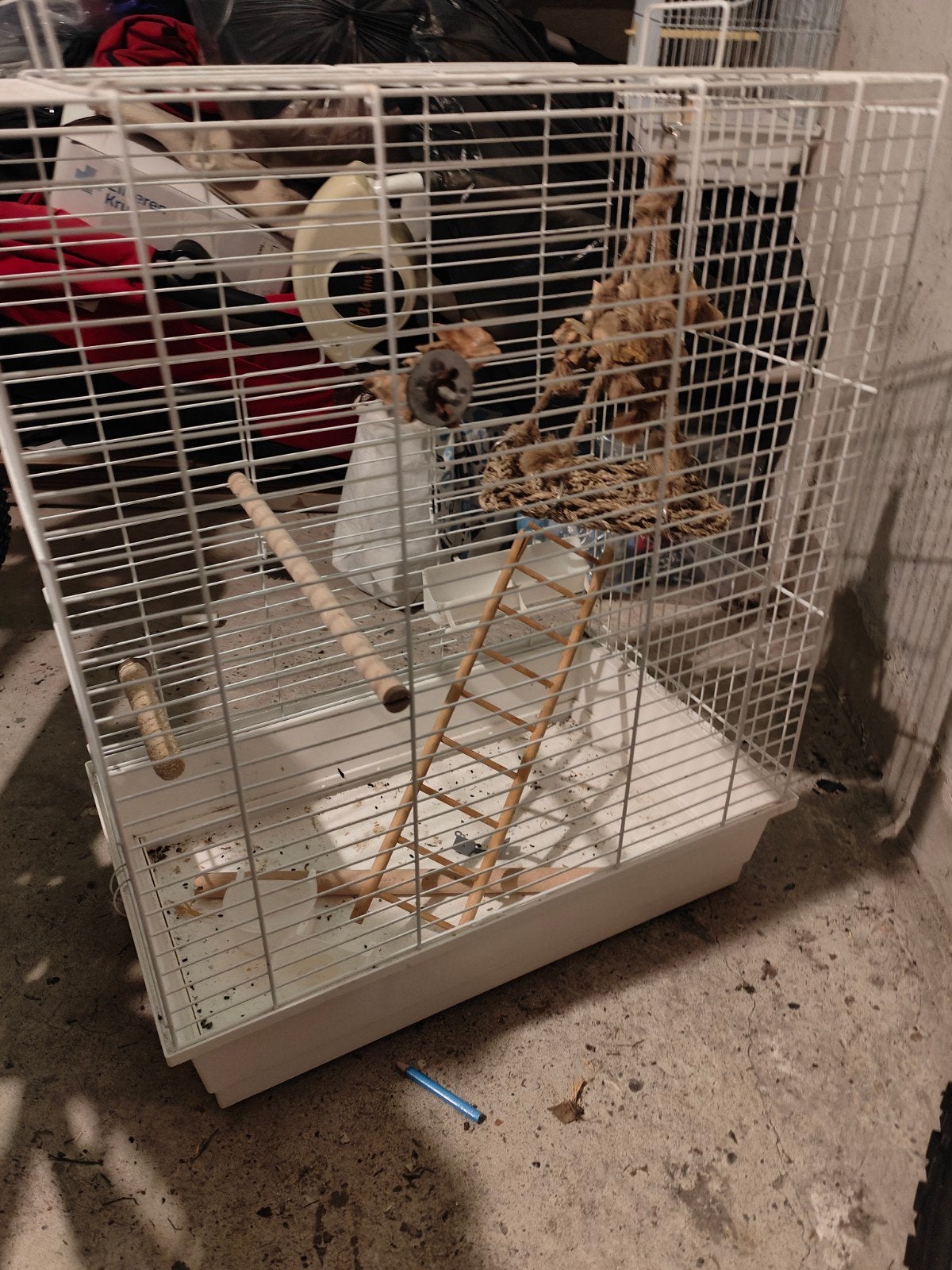 Vogelkooi, Dieren en Toebehoren, Ophalen of Verzenden