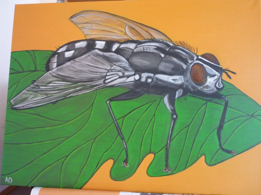 Vlieg, Antiek en Kunst, Acrylverf, Handgeschilderd, Ophalen of Verzenden, Dieren