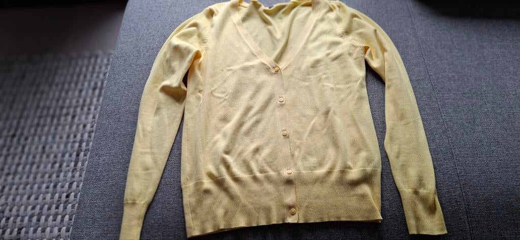 Geel vest van HEMA, maat M, Maat 38/40 (M), Geel, Ophalen of Verzenden, HEMA