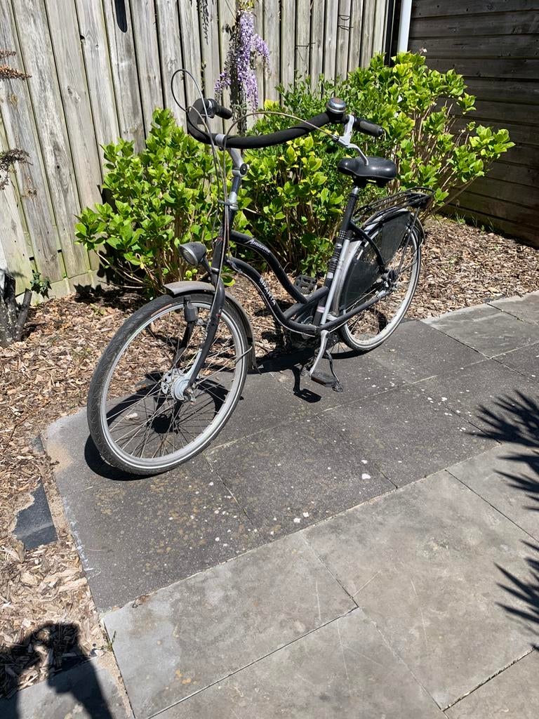Moederfiets van het merk sparta, Fietsen en Brommers, Fietsen | Driewielfietsen, Ophalen, Gebruikt