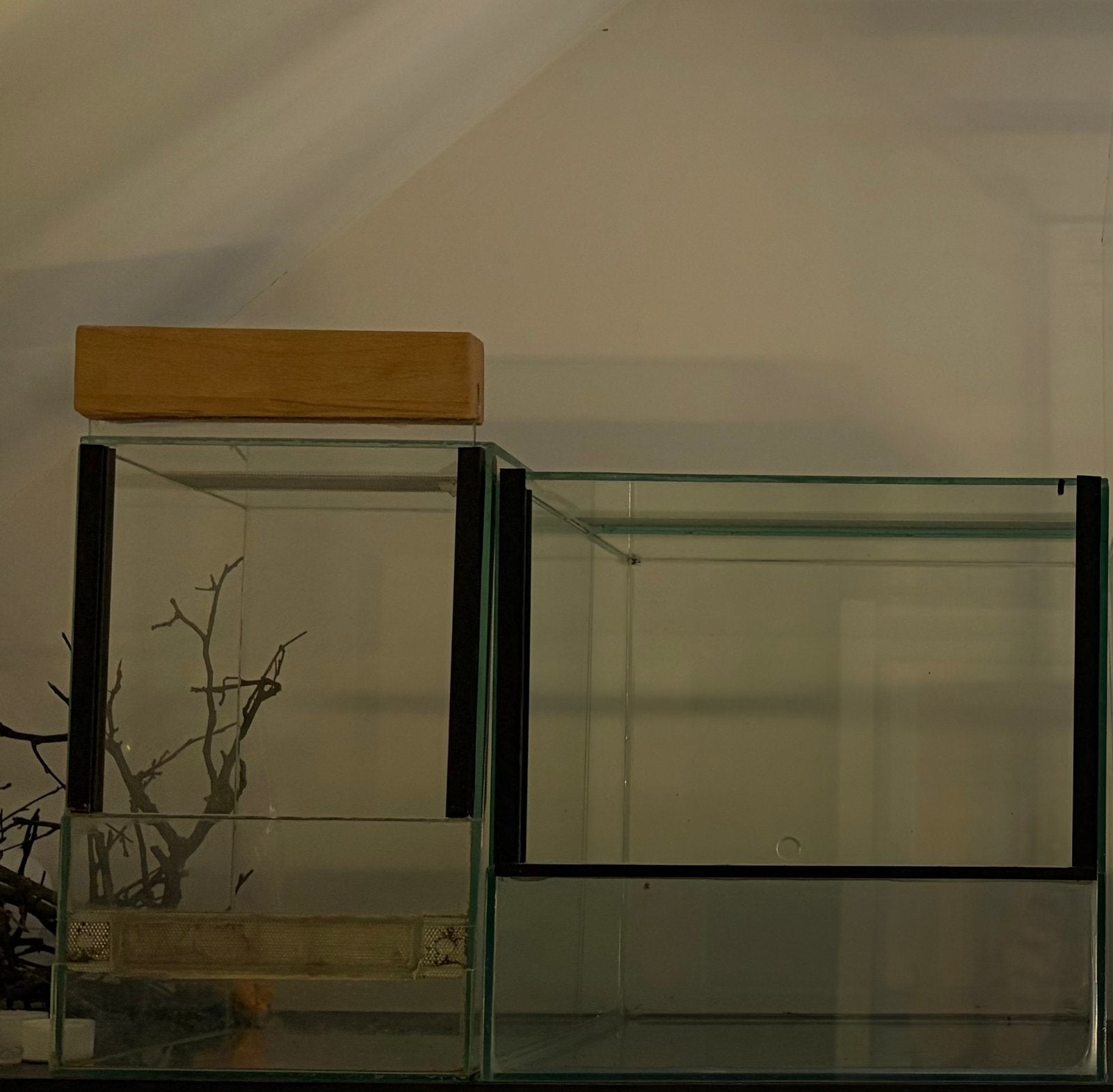 2 terrariums te koop, Ophalen, Zo goed als nieuw