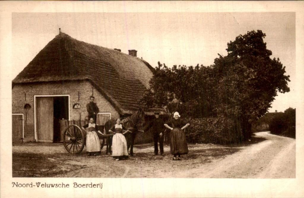 Putten - Boerderij - Noord-Veluwsche, Ophalen of Verzenden, Voor 1920, Ongelopen, Gelderland
