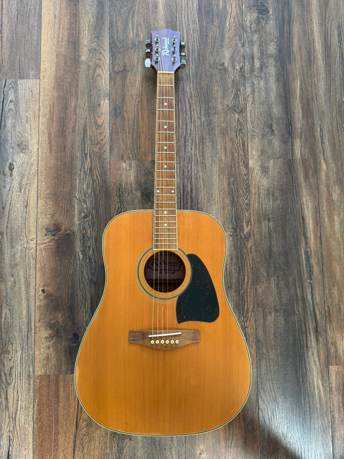 Richwood Artist Series D-16 Western gitaar, Ophalen, Zo goed als nieuw, Western- of Steelstringgitaar