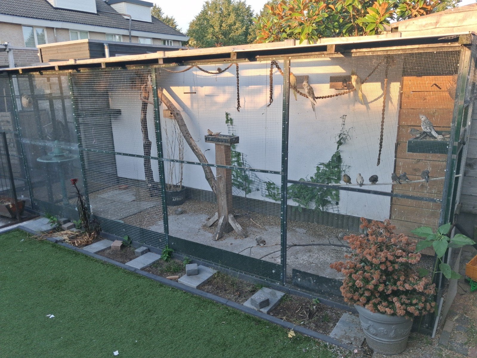 voliere met vogels, Ophalen of Verzenden, Gebruikt, Aluminium, Volière
