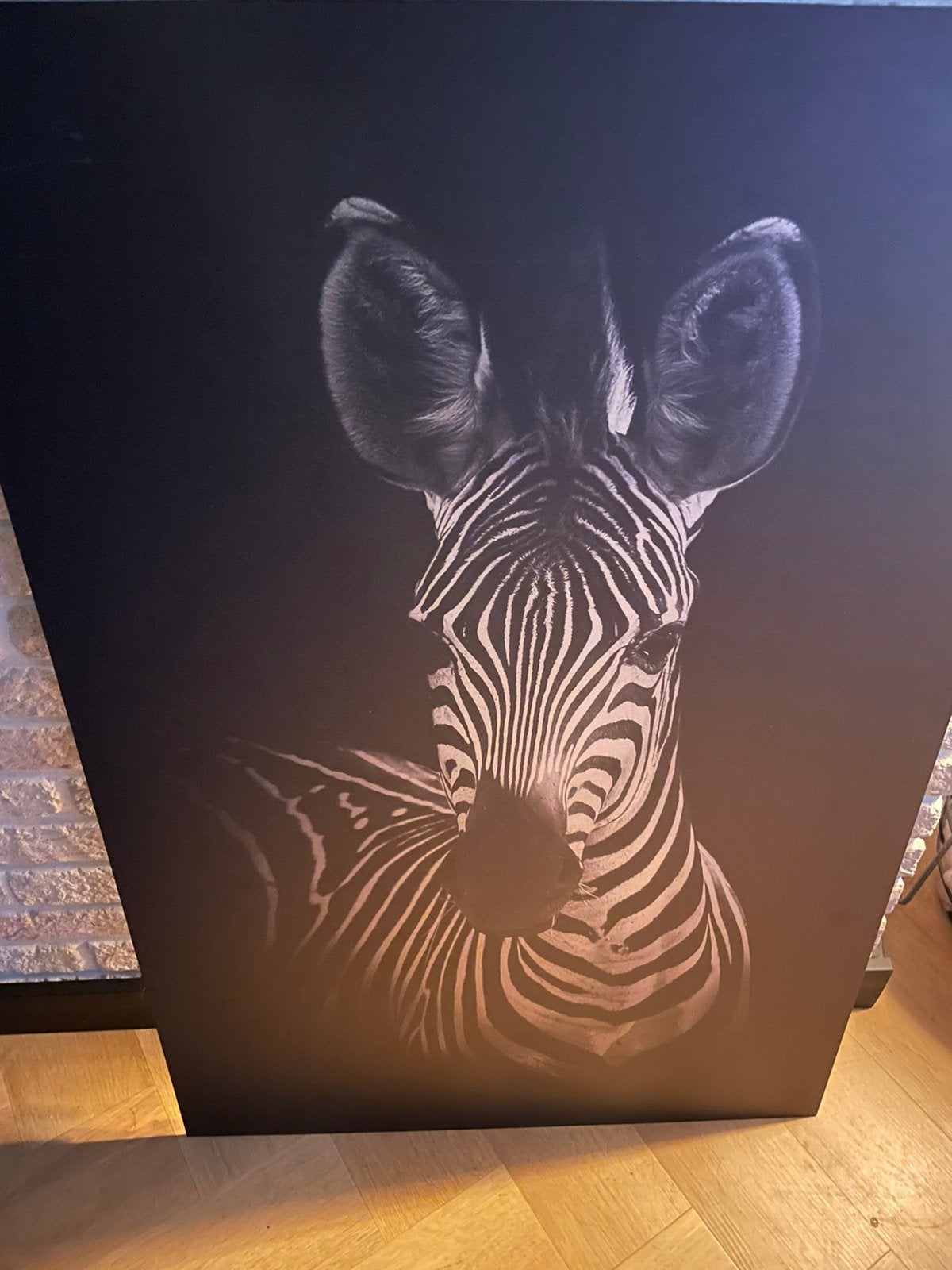 Zebra op Geborsteld aluminium. 60x90 cm, Ophalen, Zo goed als nieuw