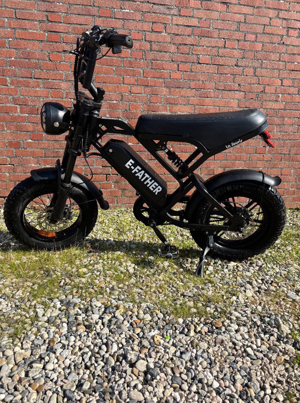 Fatbike mini v20, 59 cm of meer, Ophalen, Gebruikt, Overige merken