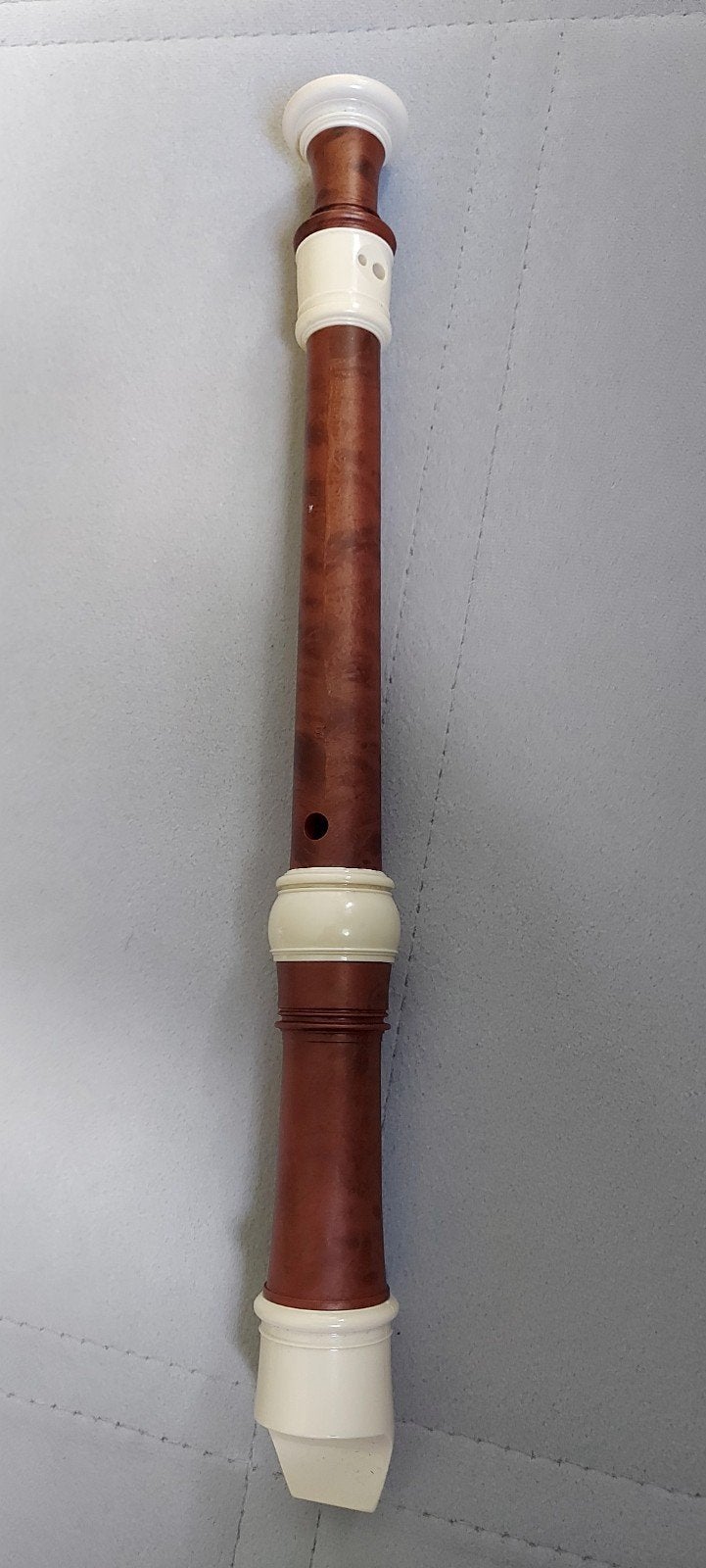 Mooie blokfluit met hoesje - perfecte staat, Muziek en Instrumenten, Ophalen, Zo goed als nieuw, Overige typen, Met koffer, hoes of etui
