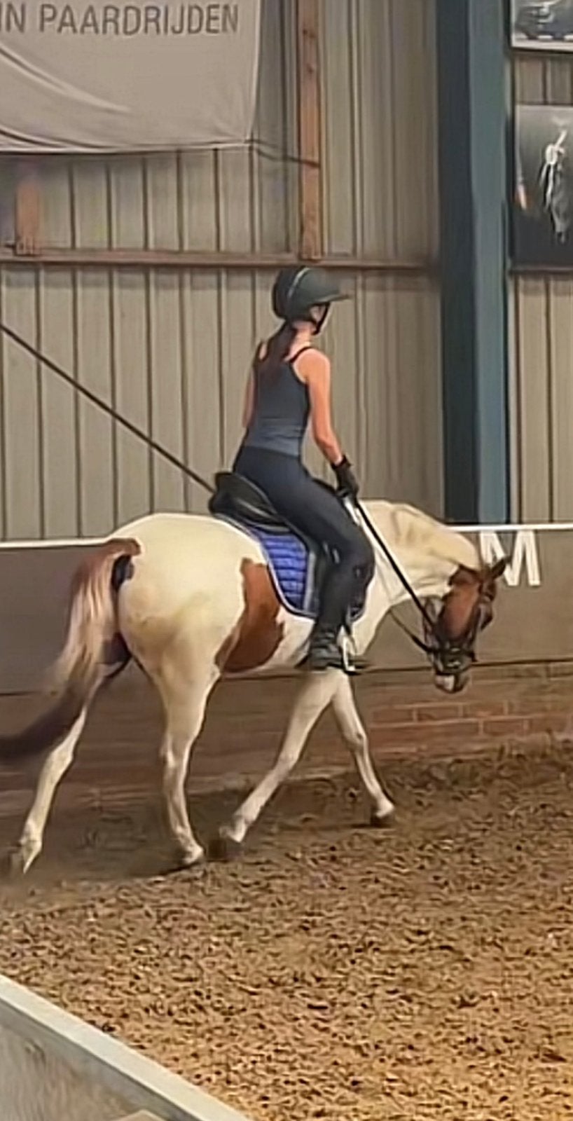 Lease/verzorgpony gezocht, bijrijder/verzorger aangeboden, Dieren en Toebehoren, Ophalen, Zo goed als nieuw