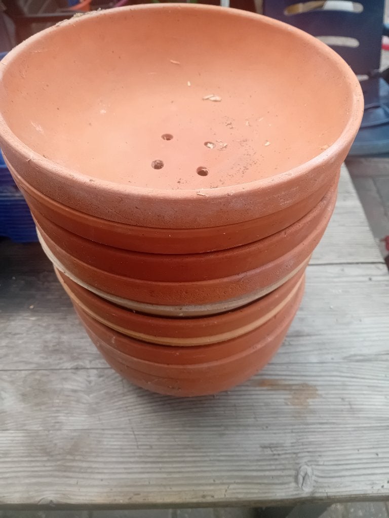 Duiven broedschaal, Meerdere dieren, Postduif