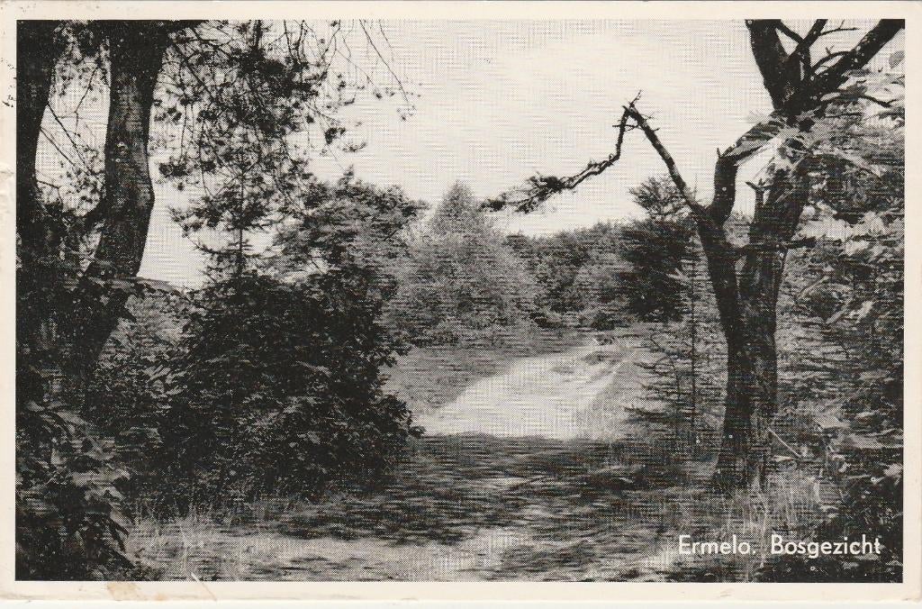 ERMELO Bosgezicht, Verzamelen, Ansichtkaarten | Nederland, Gelopen, Gelderland, 1960 tot 1980, Verzenden
