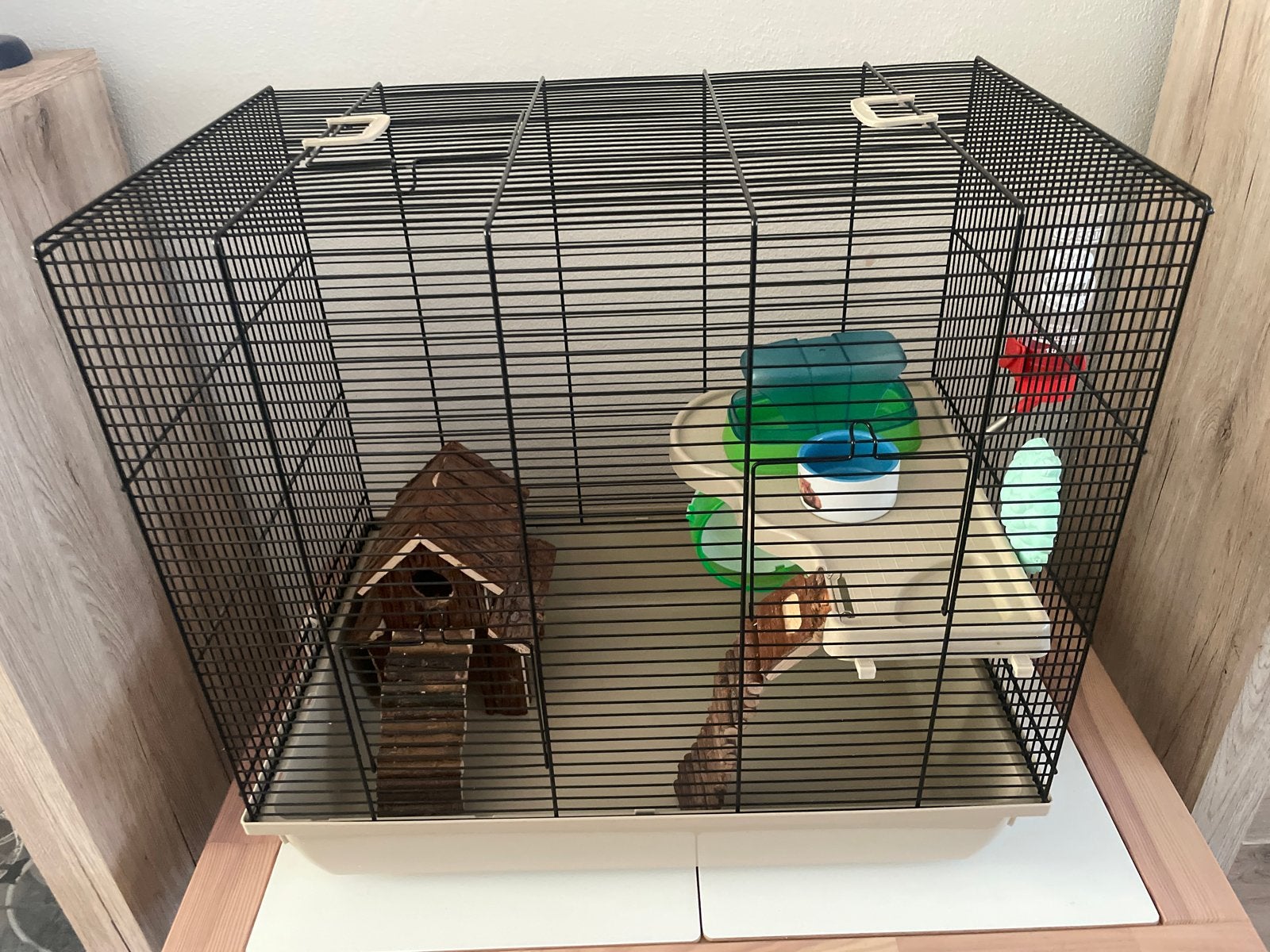 Dwerghamster kooi met extras, Kooi, Gebruikt, Hamster, 75 tot 110 cm