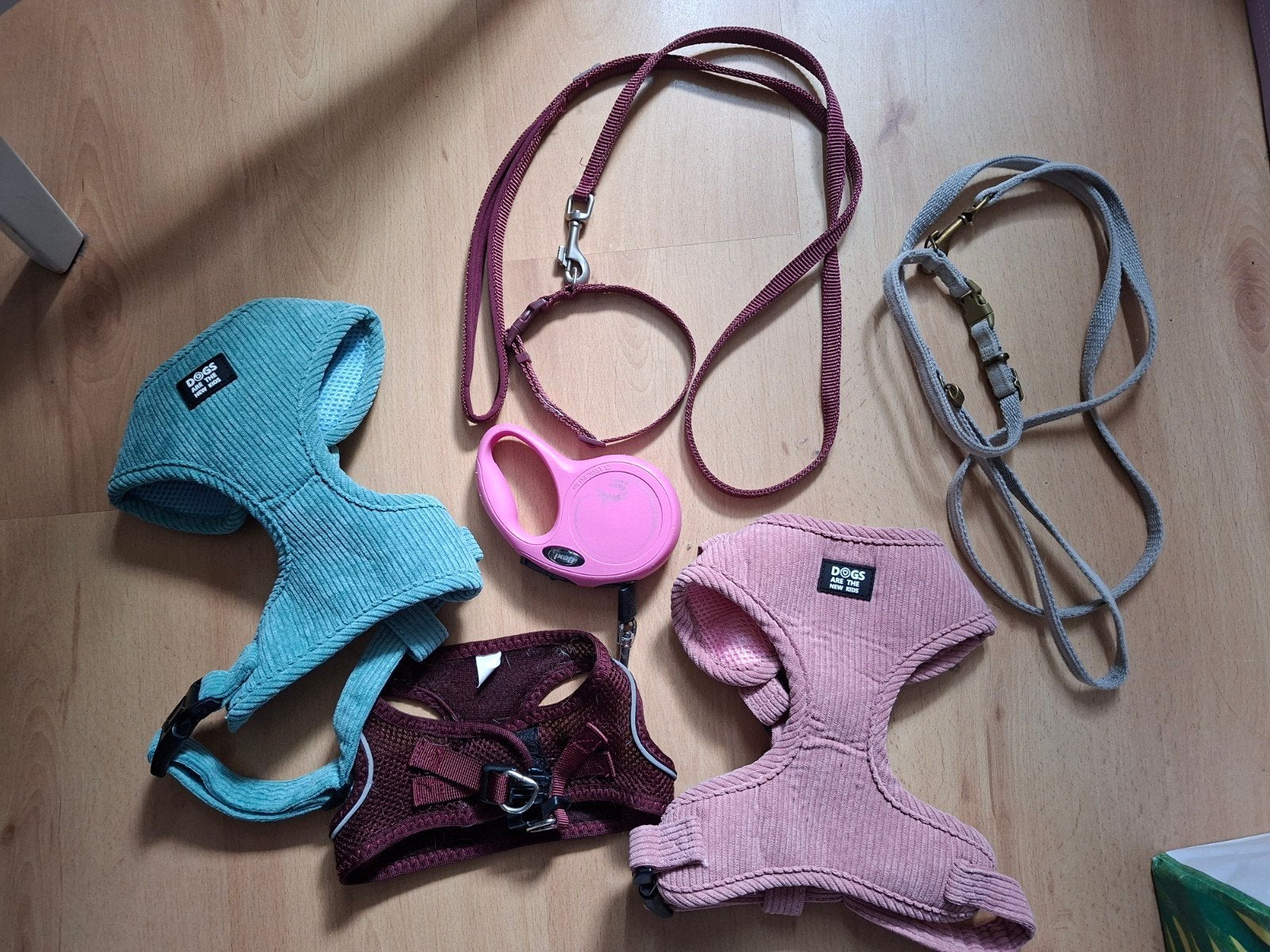 Zgan hondentuig tuigjes halsband riem lijn flexilijn, Ophalen of Verzenden, Zo goed als nieuw