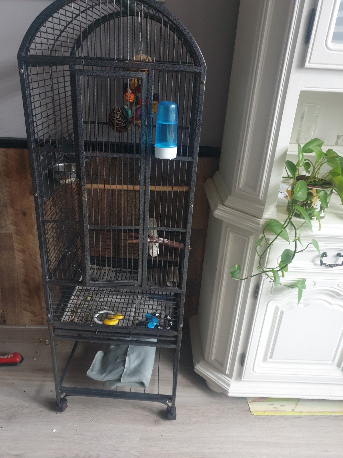 papegaaien kooi, Ophalen, Metaal, Vogelkooi
