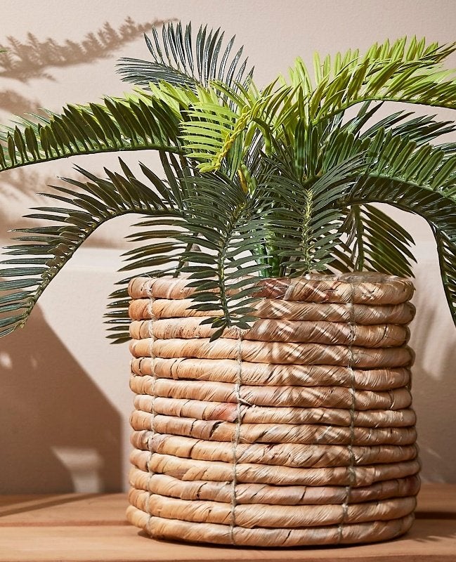 CYCAS PALM - KUNST - MICA DECORATIONS, Ophalen of Verzenden, Nieuw