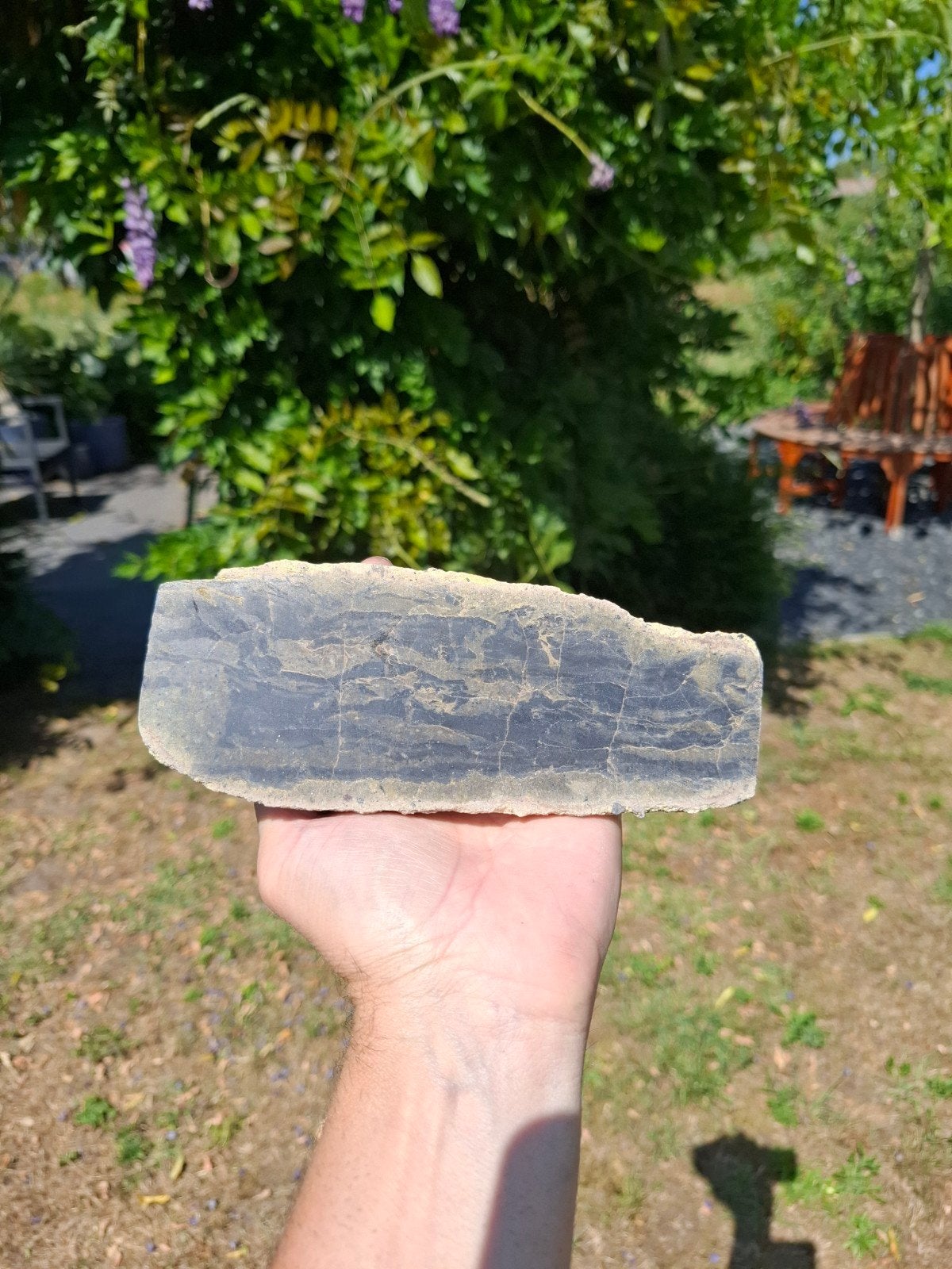 Versteend hout Indonesië gepolijst, Verzamelen, Ophalen of Verzenden, Mineraal