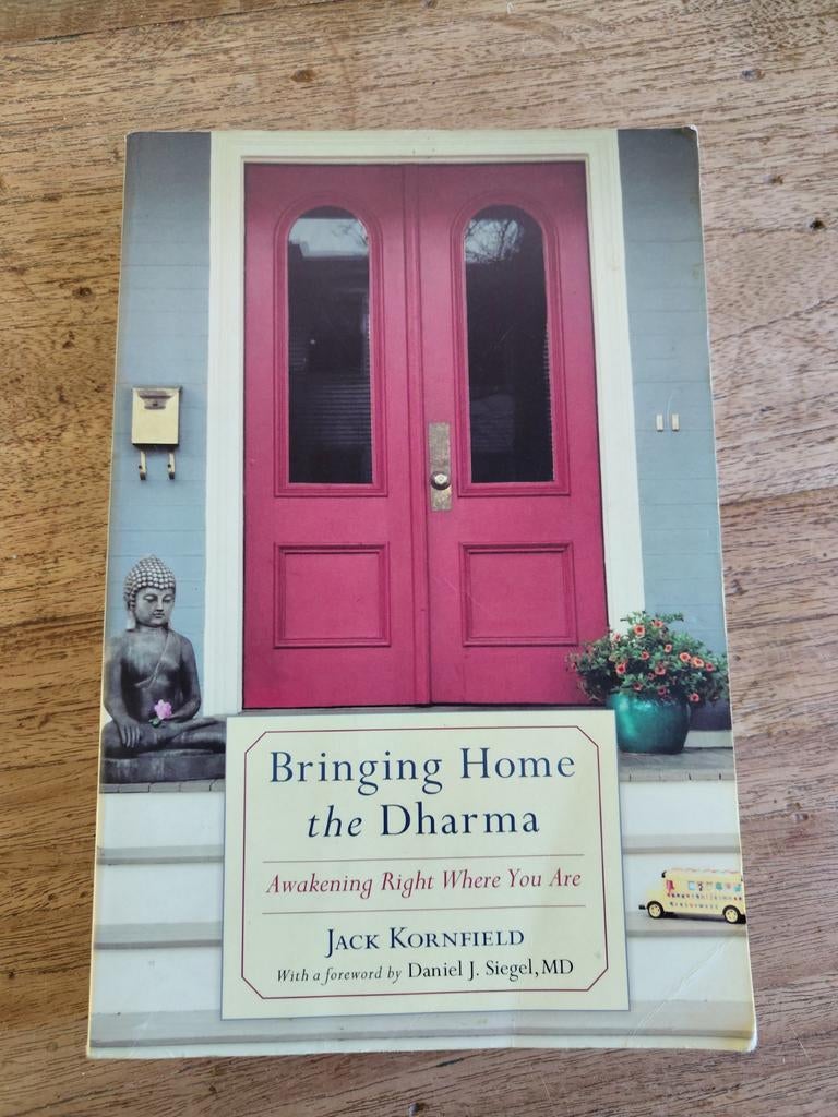 Bringing home the dharma - Jack Kornfield, Boeken, Ophalen of Verzenden, Gelezen, Spiritualiteit algemeen, Achtergrond en Informatie
