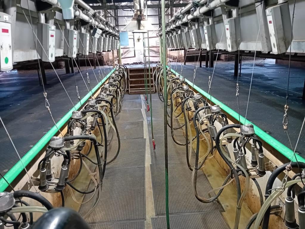 2x 12 zij aan zij melkstal met rapid exit, Ophalen of Verzenden