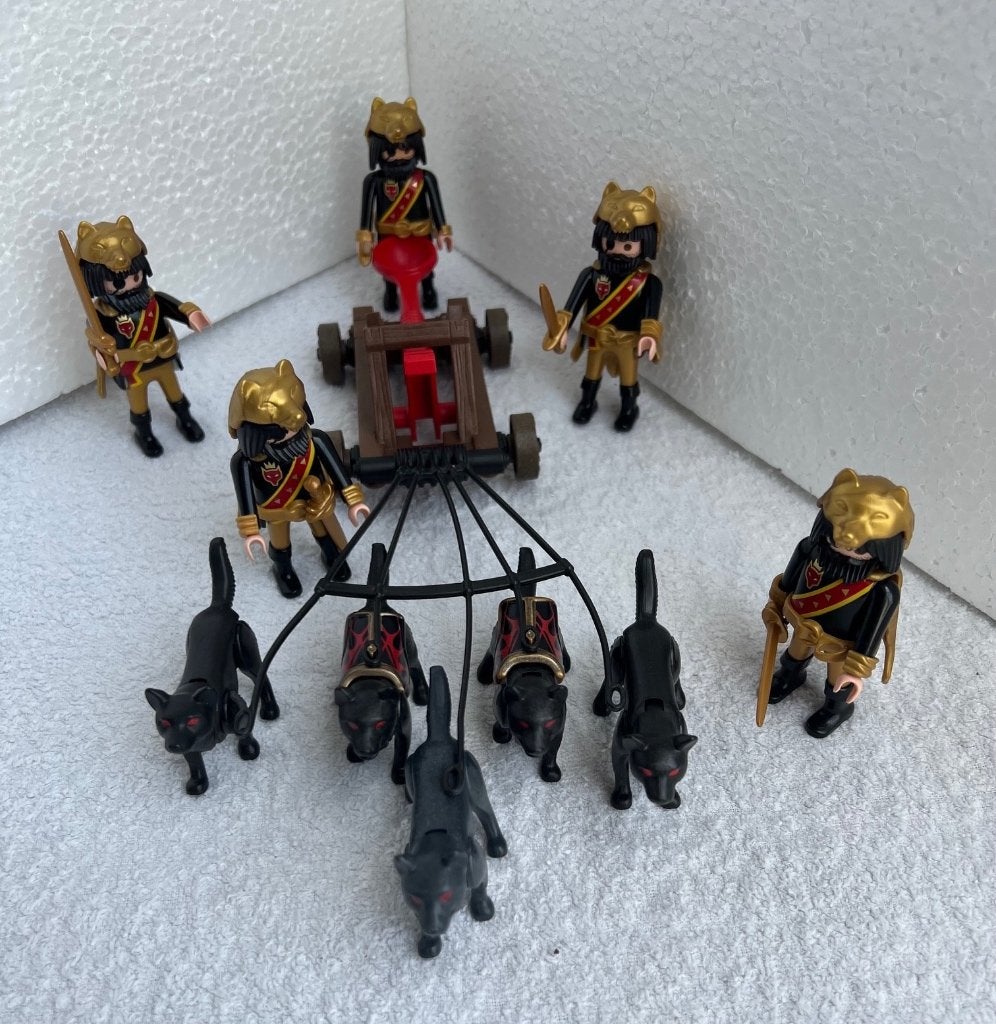 Playmobil restant Wolvenridders in goede staat, Kinderen en Baby's, Ophalen of Verzenden, Zo goed als nieuw, Complete set