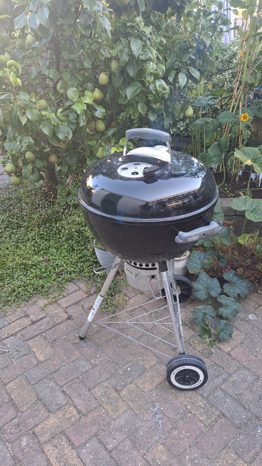 Weber BBQ met complete accessoireset, Ophalen of Verzenden, Gebruikt, Weber