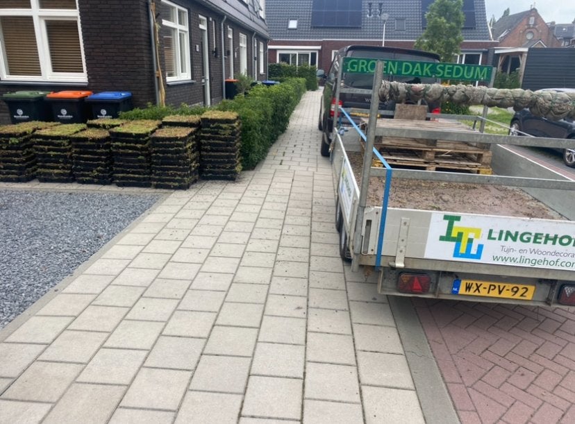 Sedum groendak cassettes voor eenvoudig zelf te plaatsen, Tuin en Terras, Ophalen of Verzenden, Overige soorten, Volle zon