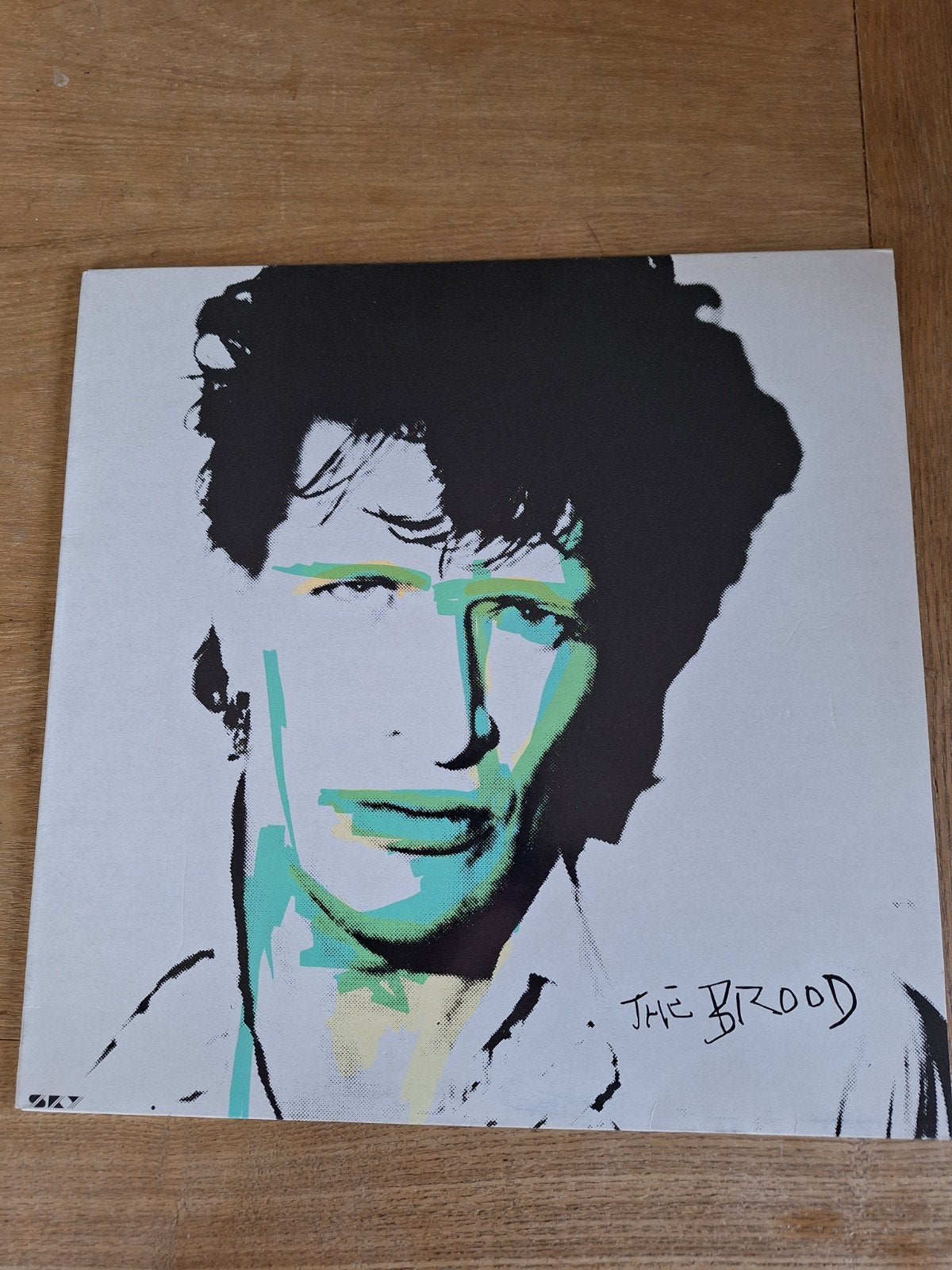 herman brood, Ophalen of Verzenden, Zo goed als nieuw, 12 inch, Poprock