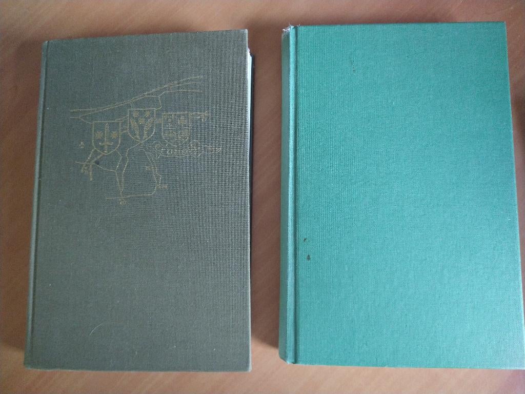 2 boerderijenboeken De Marne + Uithuizen en omstreken, Boeken, Geschiedenis | Stad en Regio, Ophalen of Verzenden, Gelezen