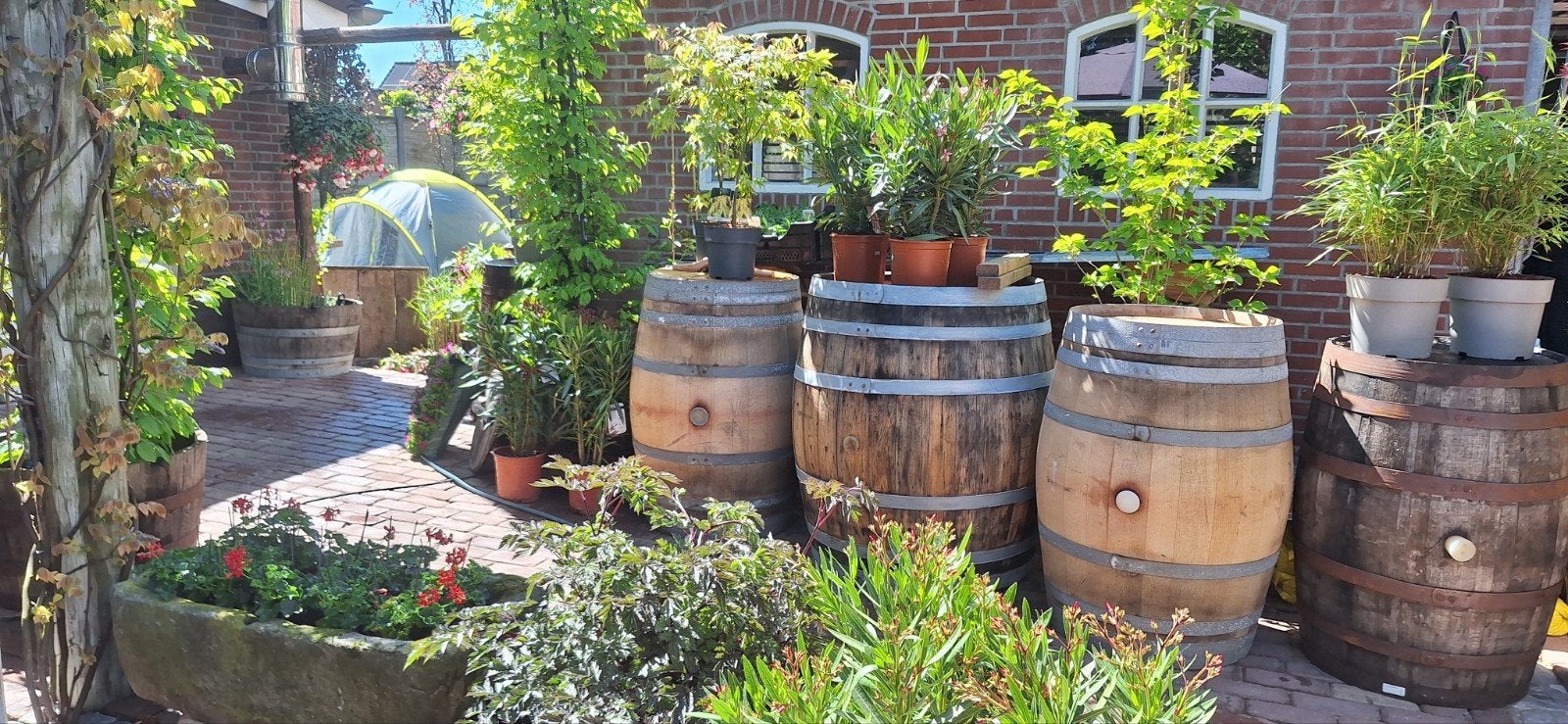 wijnvaten whiskyvaten bloembak, Ophalen of Verzenden, Rond, Hout