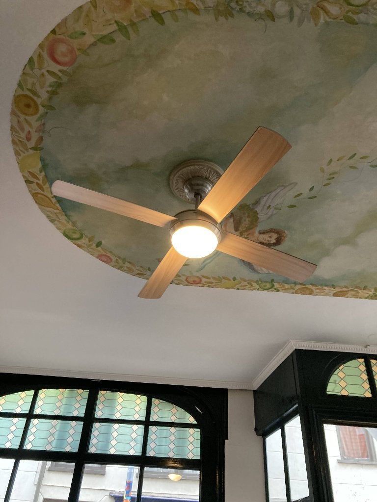 Prachtige geruisloze plafondventilator, Ophalen, Ventilator met afstandsbediening, Zo goed als nieuw, Plafondventilator