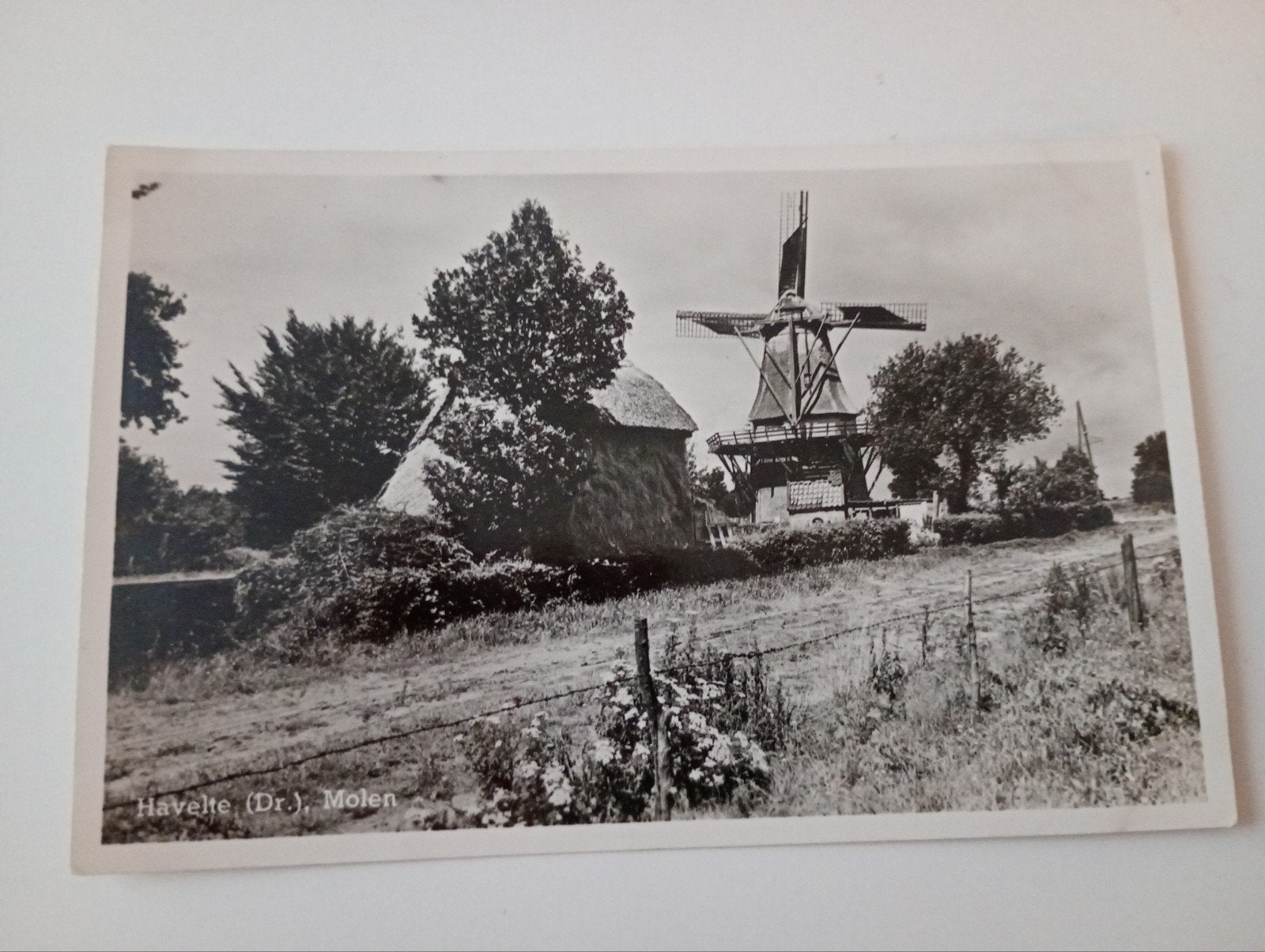 Havelte Molen, Ophalen of Verzenden, 1940 tot 1960, Ongelopen, Drenthe
