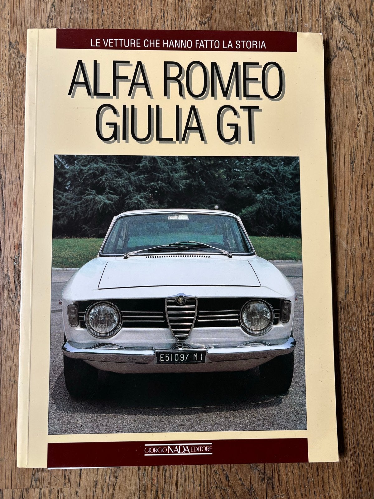 Alfa Romeo Giulia GT Boek - Geschiedenis en Details, Ophalen of Verzenden, Gelezen, Alfa Romeo
