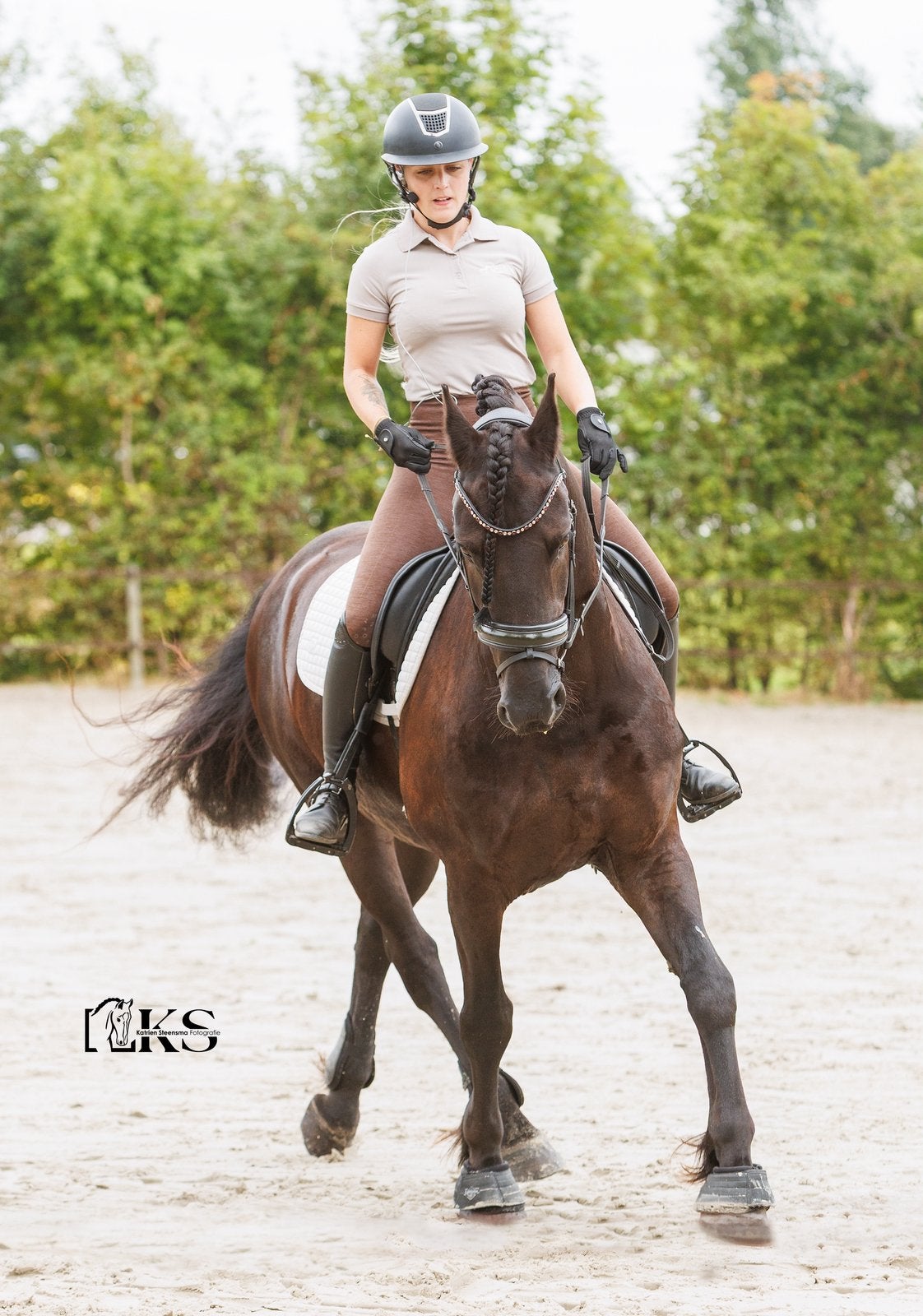 Training aangeboden, Ruiter of Bijrijder