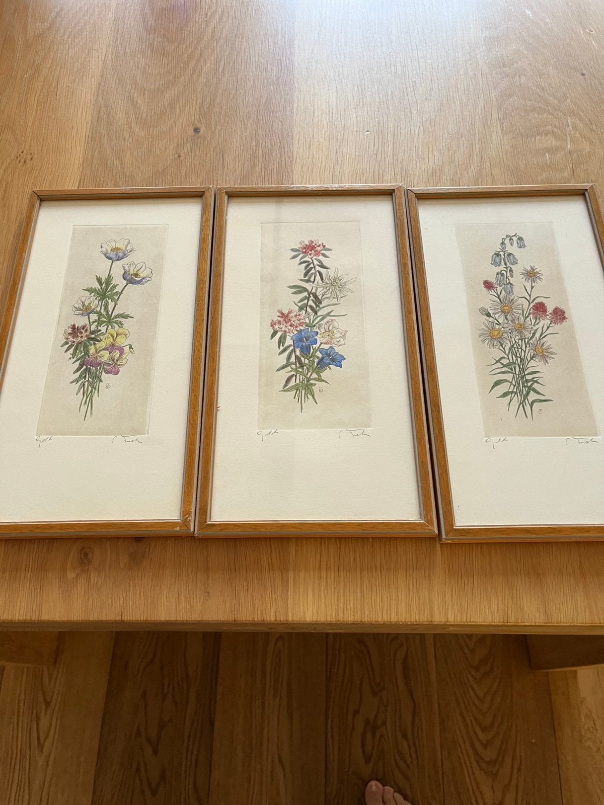 Aquarel etsen tsitske Tiele modderman, Ophalen, Ets, Ingelijst, Flora en Fauna