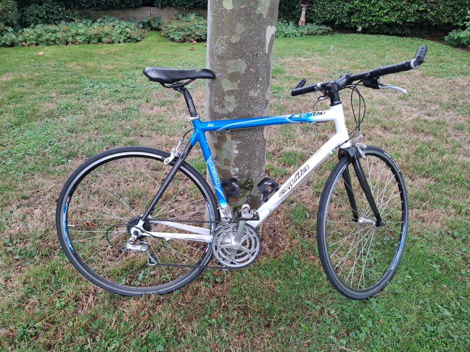 Aquilla Sportfietsen_Recht stuur, Gebruikt, Velgrem, Aluminium, Meer dan 20 versnellingen