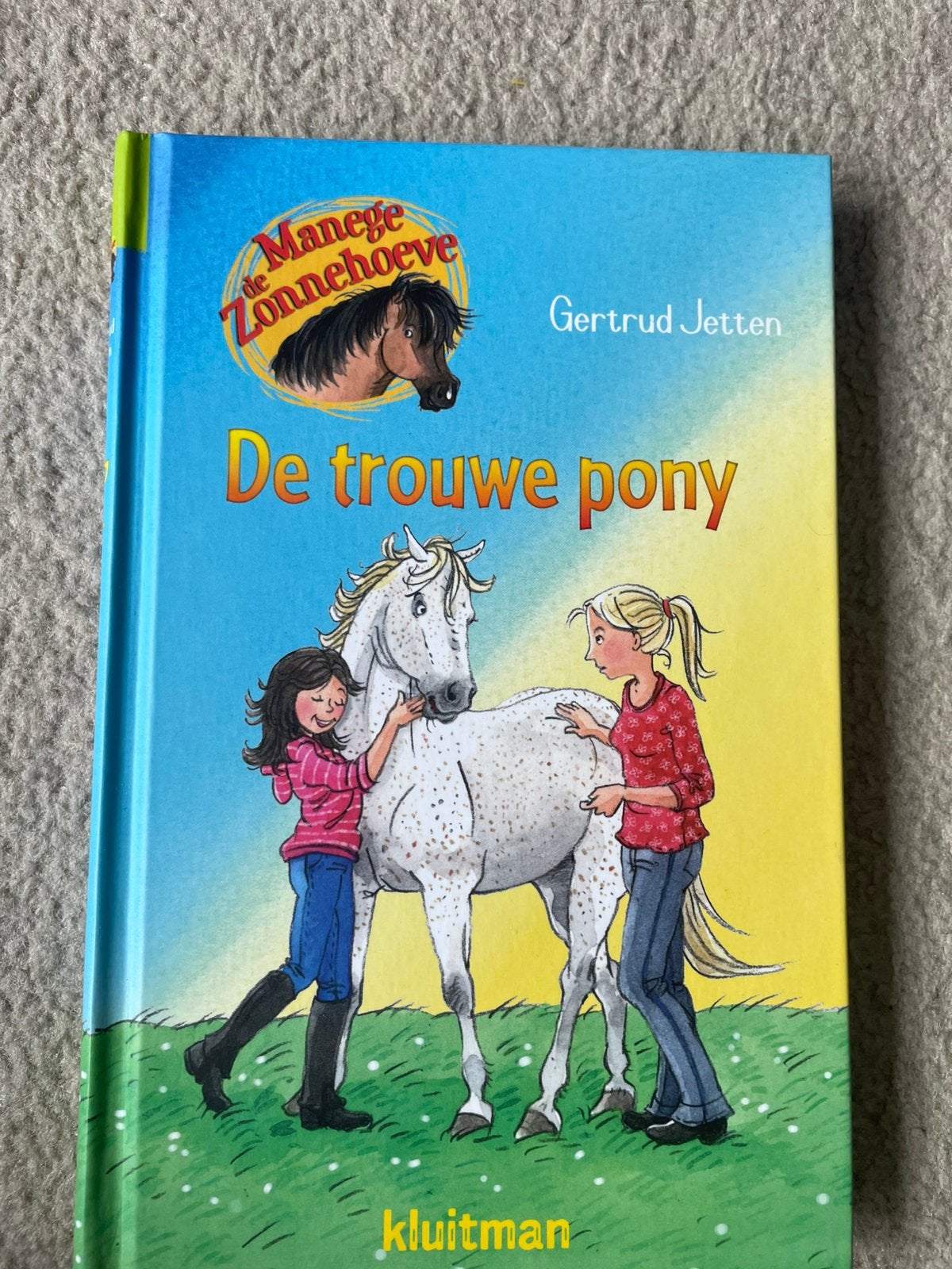 De trouwe pony boek, Boeken, Kinderboeken | Jeugd | onder 10 jaar, Ophalen, Zo goed als nieuw, Fictie algemeen