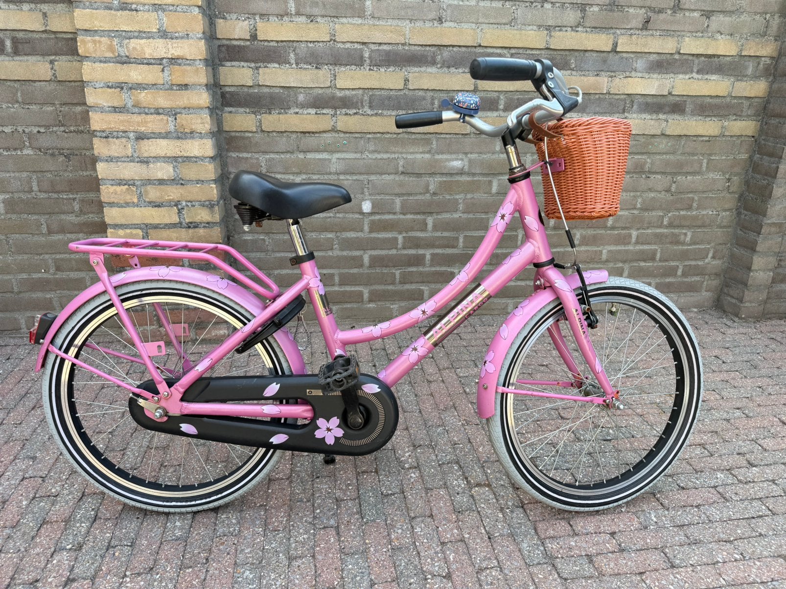 Leuke meisje fiets- 20inch, Ophalen, Gebruikt, 20 inch, Handrem