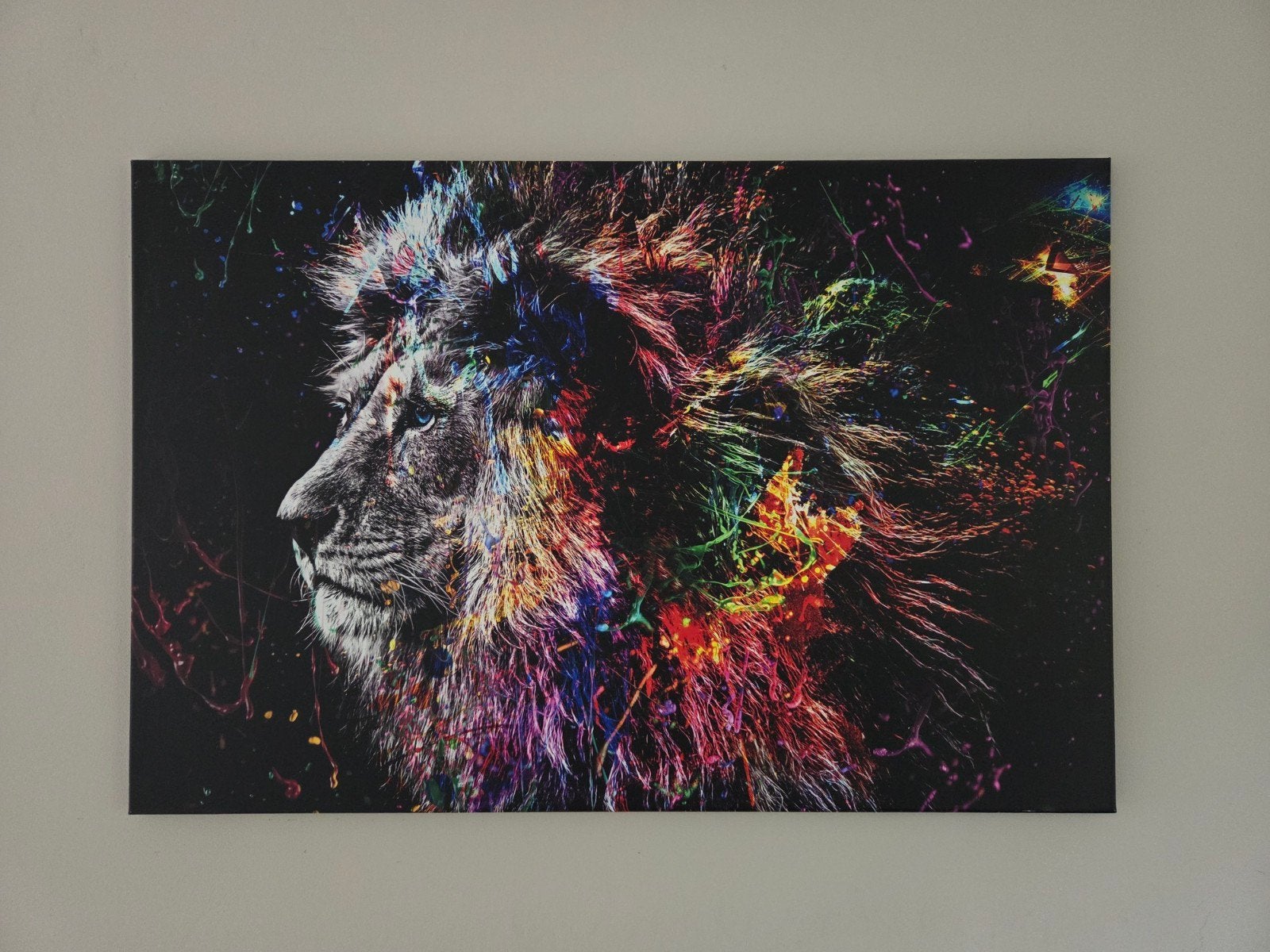 Canvas print/schilderij leeuw 105x70 cm, Ophalen, Op houten frame, Dieren, Print