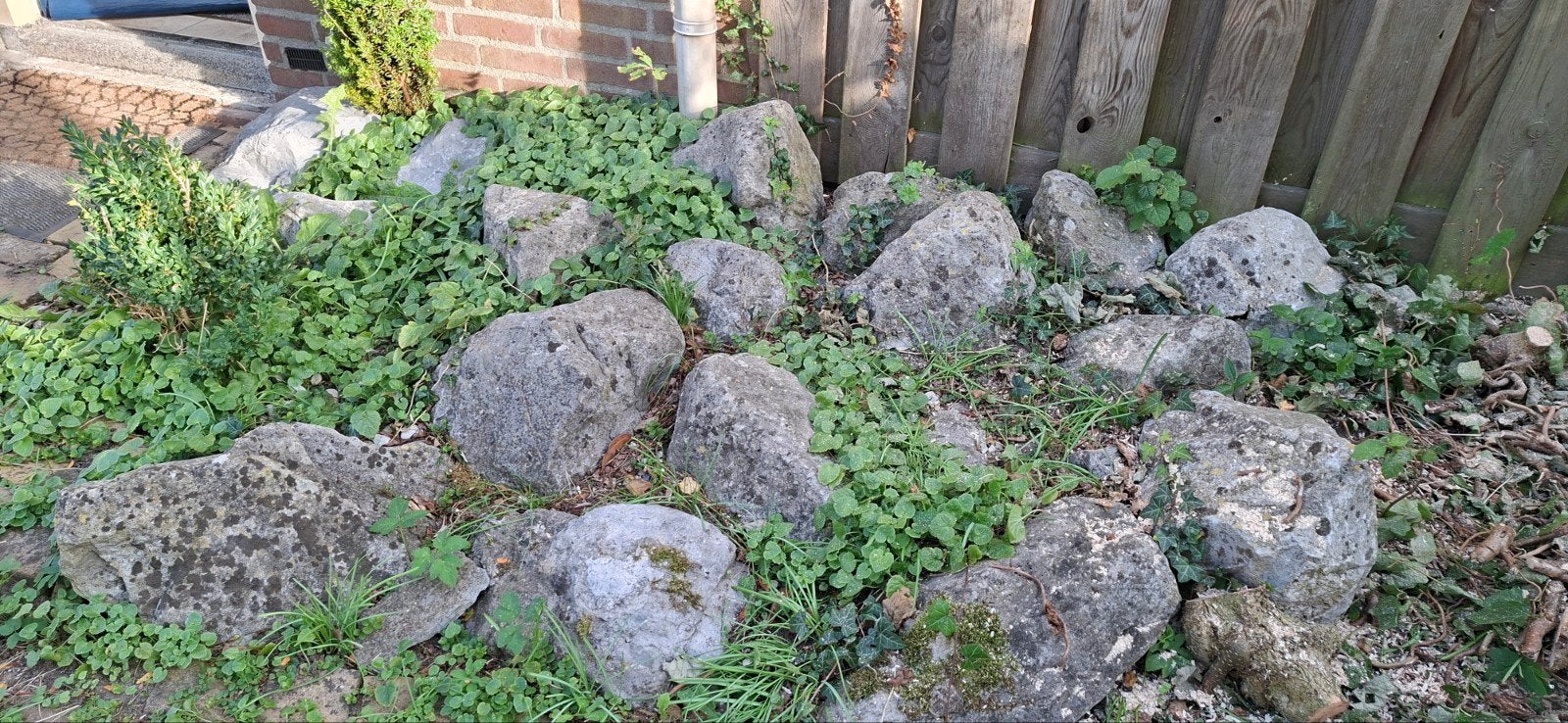 Foto 3 van Basalt blokken mooie voor aan je vijver Gratis met geld er b