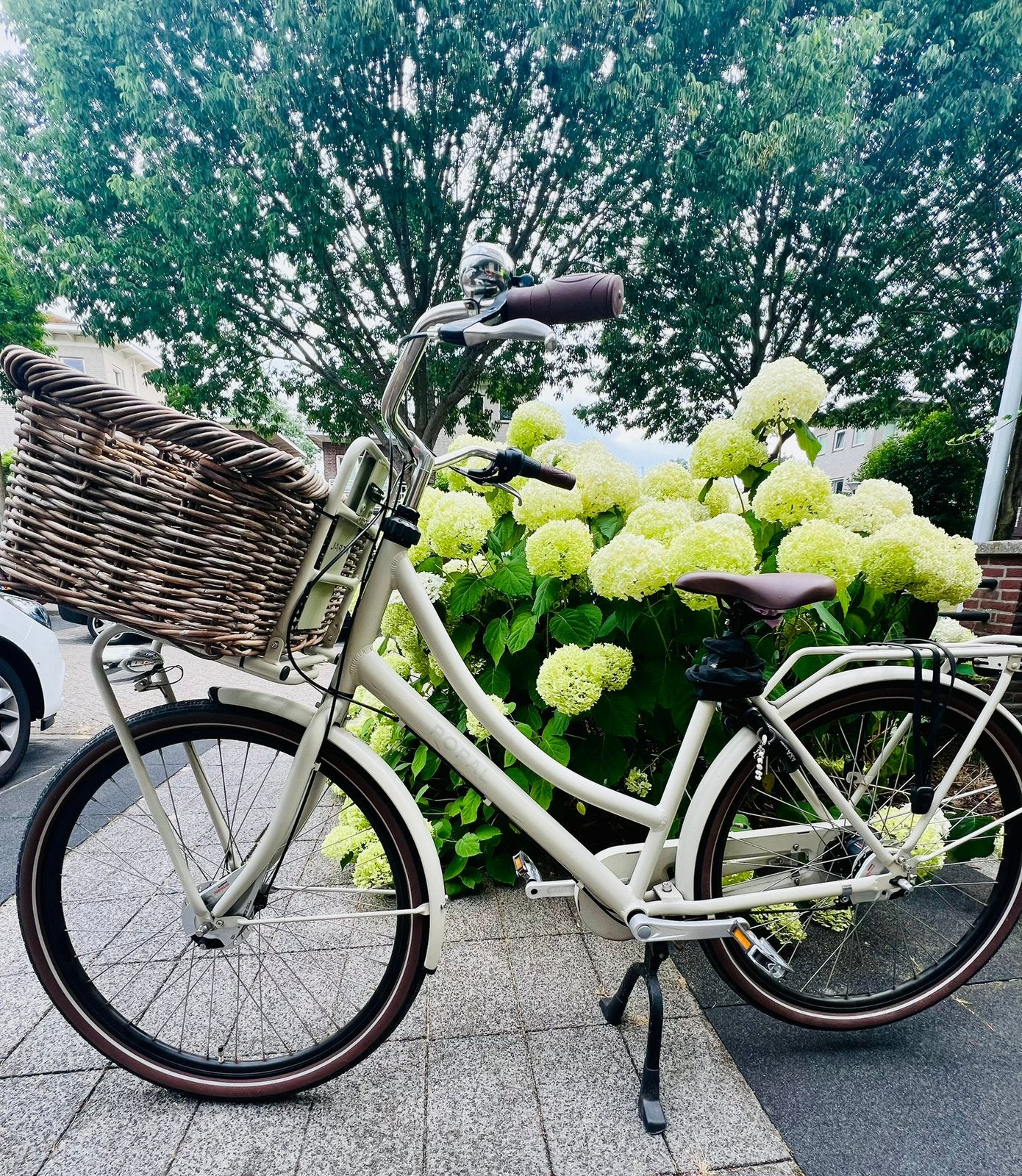 Popal Daily Dutch Prestige N7 Transportfiets Dames 53cm ZGAN, Fietsen en Brommers, 53 tot 56 cm, Versnellingen, Zo goed als nieuw