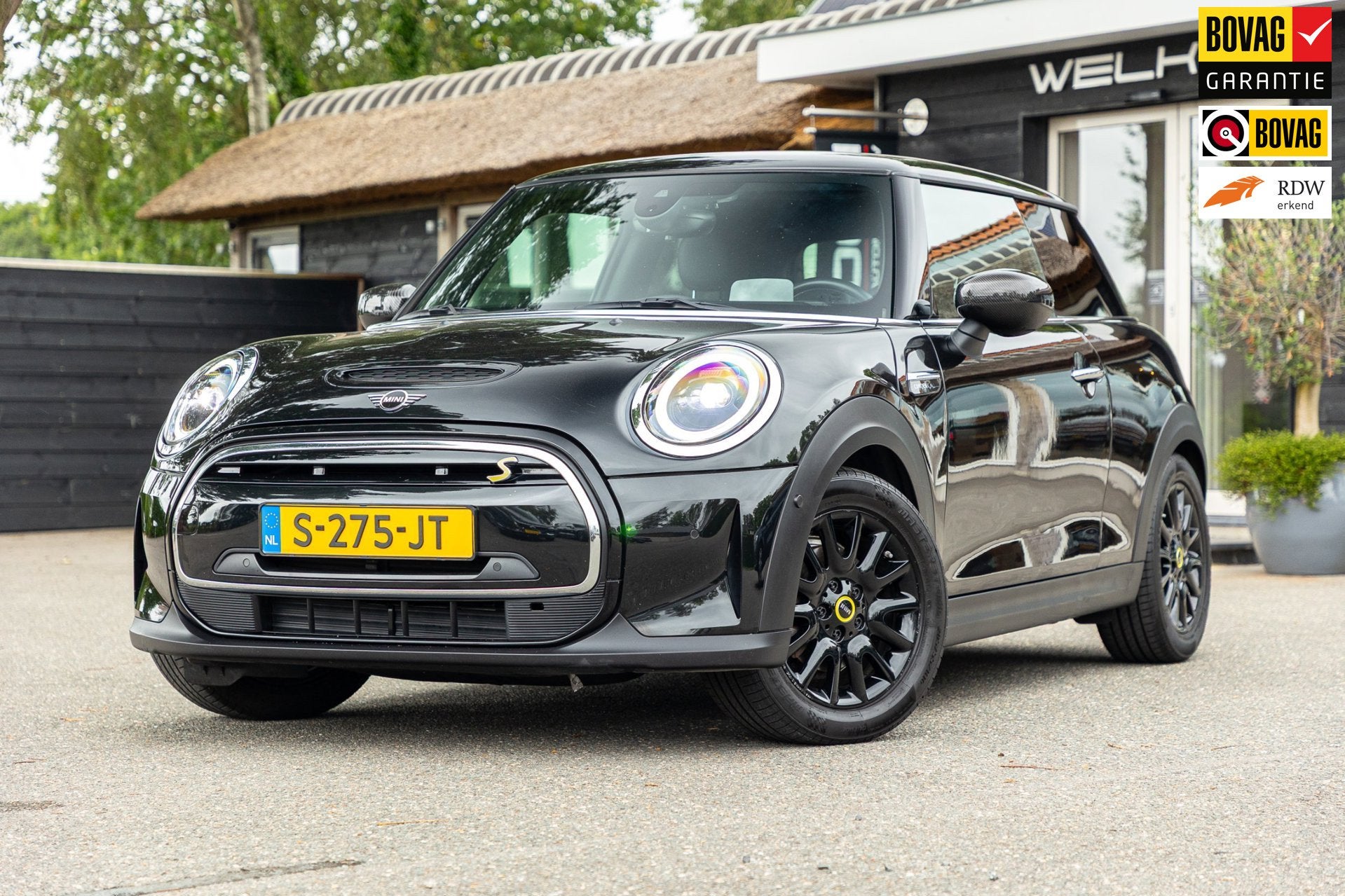 Mini Electric Resolute Edition 33 kWh Soh 97% I Camera I Led, Parkeersensor, 33 kWh, 4 stoelen, Leder