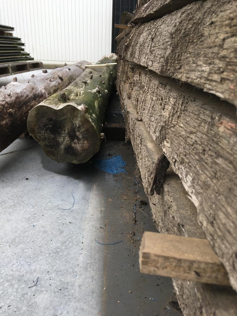 Eiken boomstammen, Doe-het-zelf en Verbouw, Hout en Planken, Eiken, Nieuw, Ophalen of Verzenden, Plank