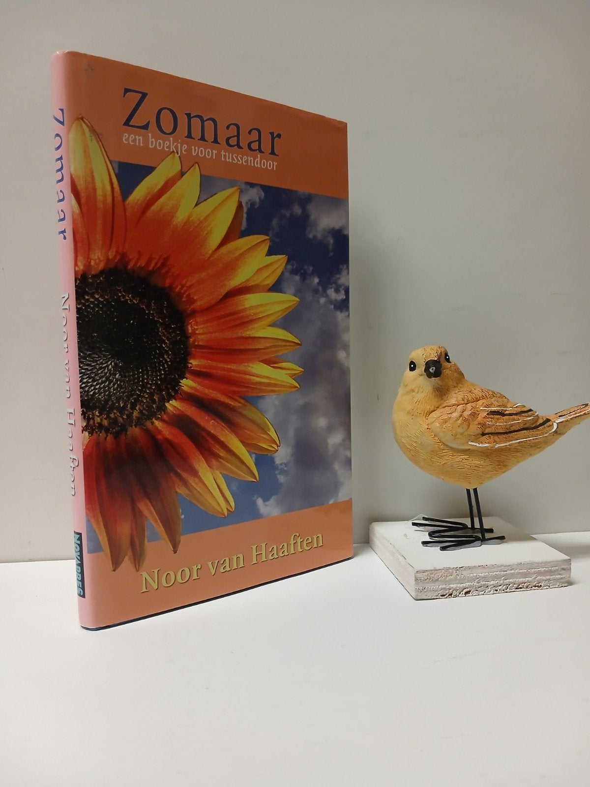 Haaften, Noor van; Zomaar, Ophalen of Verzenden, Gelezen, Christendom | Protestants
