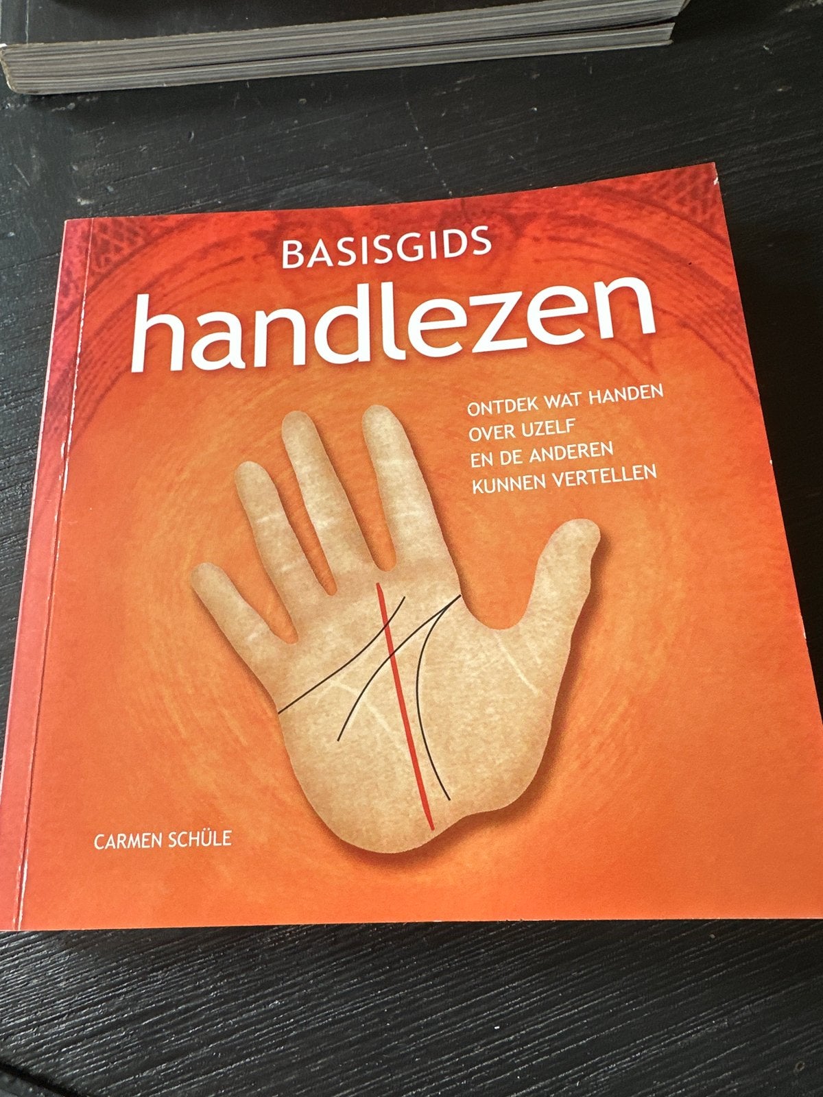 Basishandleiding Handlezen: Ontdek Jezelf en Anderen, Ophalen of Verzenden, Zo goed als nieuw, Spiritualiteit algemeen, Instructieboek